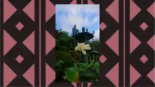 大日山神護院（新座観音）(埼玉県)