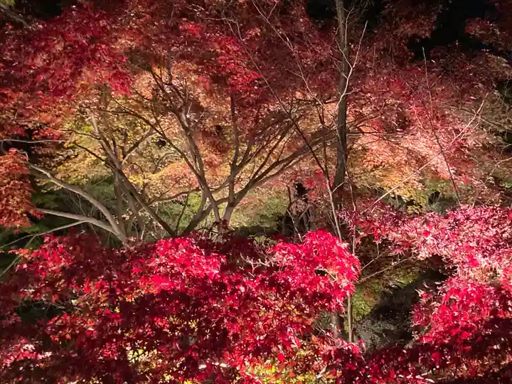東漸寺(千葉県)