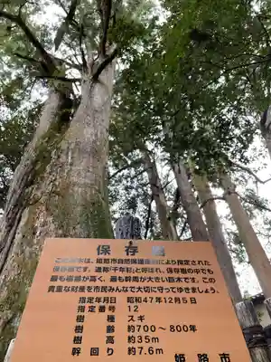 圓教寺(兵庫県)