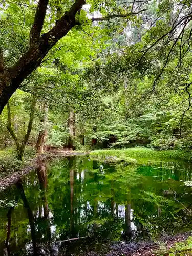 平泉寺白山神社(福井県)