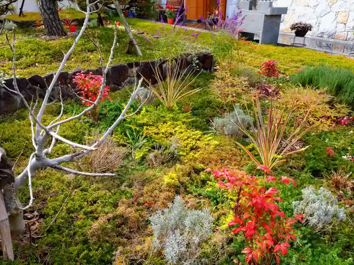 寿量山 速成寺の自然