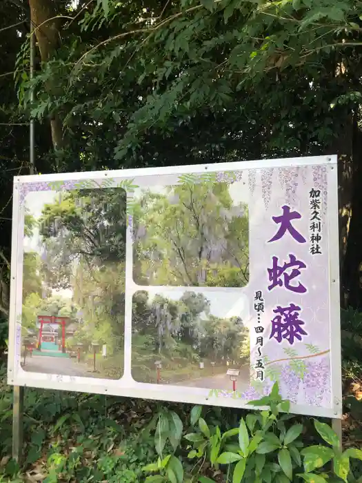 加紫久利神社の建物その他