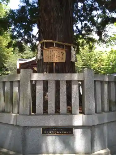 諏訪大社下社秋宮の自然