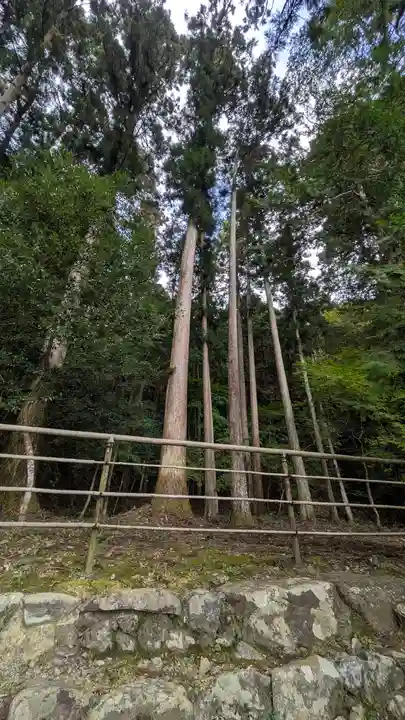 高山寺(京都府)