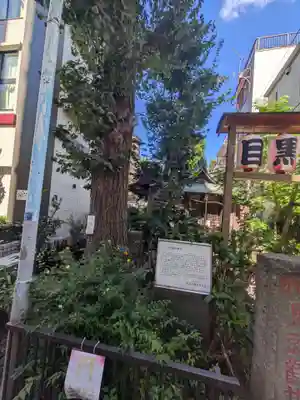 目黒馬頭観音（目黒銀座観音）(東京都)