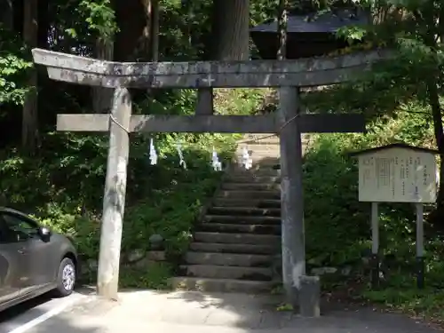 戸隠神社火之御子社の鳥居