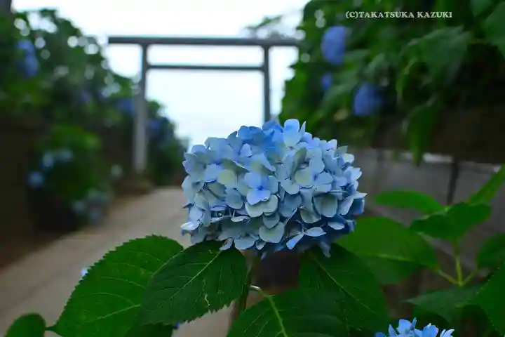 酒列磯前神社(茨城県)