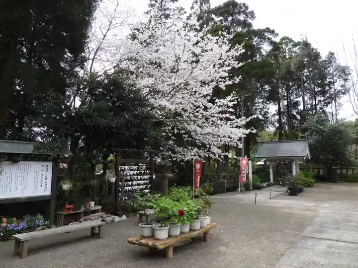 串間神社(宮崎県)