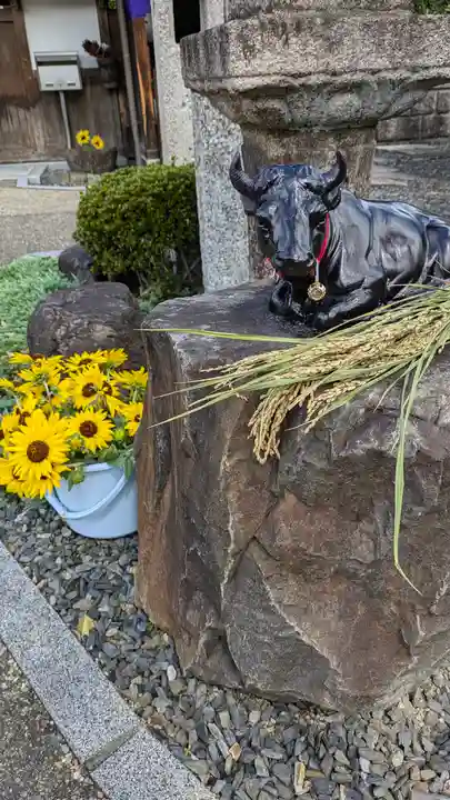 大松禅寺(京都府)