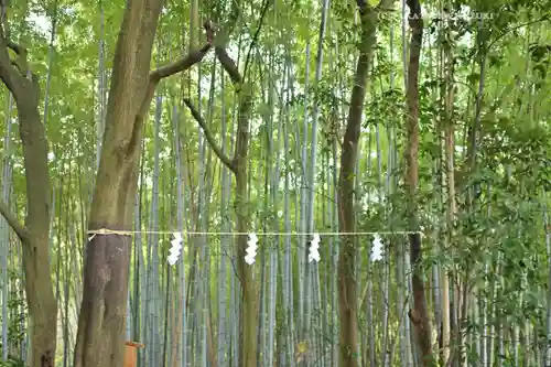  久延彦神社(奈良県)