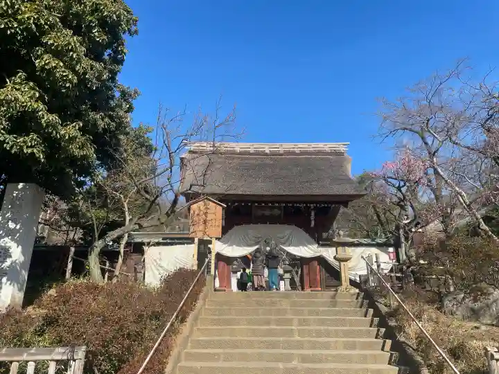 深大寺の{uncategorized: "未分類", other: "その他", undefined: "問題あり", building: "その他建物", grave: "お墓", sacred_gate: "鳥居", guardian: "狛犬", statue: "像", buddha: "仏像", history: "歴史", nature: "自然", garden: "庭園", animal: "動物", pagoda: "塔", temizu: "手水舎", mountain_gate: "山門・神門", sanctuary: "本殿・本堂", subordinate: "末社・摂社", art: "芸術", scenery: "景色", jizo: "地蔵", ema: "絵馬", goshuin: "御朱印", omikuji: "おみくじ", items: "授与品その他", amulet: "お守り", goshuincho: "御朱印帳", eats: "食事", festival: "お祭り", votive_dance: "神楽", shichigosan: "七五三参", wedding: "結婚式", experience: "体験その他", initially: "初詣", around: "周辺", anti_infection: "感染症対策"}