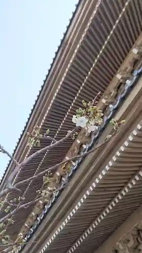 光明寺のその他建物