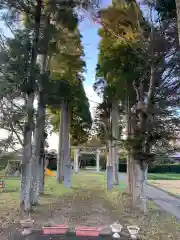 熊野神社の建物その他