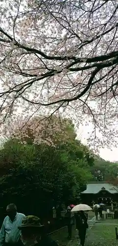 畑子安神社の自然