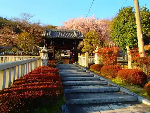 大雲寺の山門・神門
