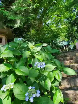 愛宕神社(福島県)