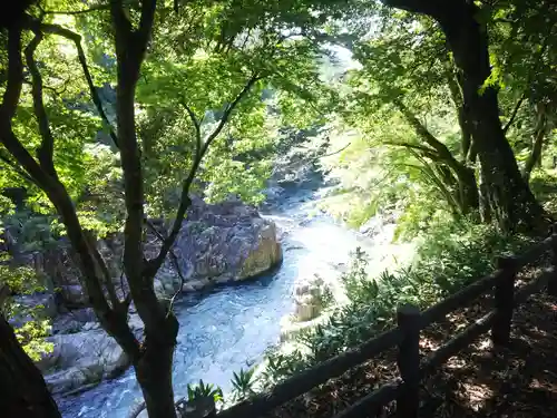 大瀧神社の景色