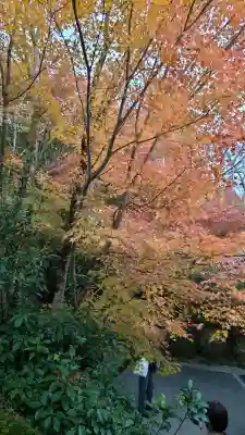 龍安寺の{uncategorized: "未分類", other: "その他", undefined: "問題あり", building: "その他建物", grave: "お墓", sacred_gate: "鳥居", guardian: "狛犬", statue: "像", buddha: "仏像", history: "歴史", nature: "自然", garden: "庭園", animal: "動物", pagoda: "塔", temizu: "手水舎", mountain_gate: "山門・神門", sanctuary: "本殿・本堂", subordinate: "末社・摂社", art: "芸術", scenery: "景色", jizo: "地蔵", ema: "絵馬", goshuin: "御朱印", omikuji: "おみくじ", items: "授与品その他", amulet: "お守り", goshuincho: "御朱印帳", eats: "食事", festival: "お祭り", votive_dance: "神楽", shichigosan: "七五三参", wedding: "結婚式", experience: "体験その他", initially: "初詣", around: "周辺", anti_infection: "感染症対策"}