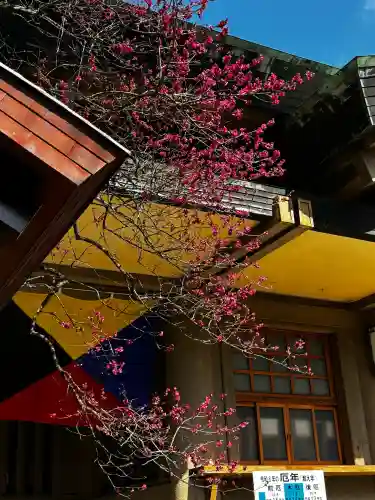 東郷神社の{uncategorized: "未分類", other: "その他", undefined: "問題あり", building: "その他建物", grave: "お墓", sacred_gate: "鳥居", guardian: "狛犬", statue: "像", buddha: "仏像", history: "歴史", nature: "自然", garden: "庭園", animal: "動物", pagoda: "塔", temizu: "手水舎", mountain_gate: "山門・神門", sanctuary: "本殿・本堂", subordinate: "末社・摂社", art: "芸術", scenery: "景色", jizo: "地蔵", ema: "絵馬", goshuin: "御朱印", omikuji: "おみくじ", items: "授与品その他", amulet: "お守り", goshuincho: "御朱印帳", eats: "食事", festival: "お祭り", votive_dance: "神楽", shichigosan: "七五三参", wedding: "結婚式", experience: "体験その他", initially: "初詣", around: "周辺", anti_infection: "感染症対策"}