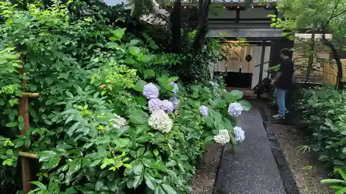 梨木神社(京都府)