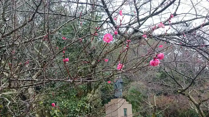 京都乃木神社の自然