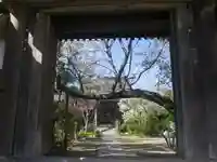 教恩寺の山門・神門