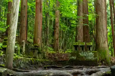 戸隠神社宝光社(長野県)