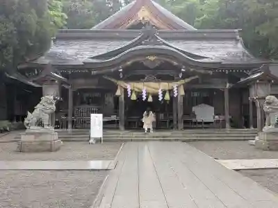白山比咩神社の{uncategorized: "未分類", other: "その他", undefined: "問題あり", building: "その他建物", grave: "お墓", sacred_gate: "鳥居", guardian: "狛犬", statue: "像", buddha: "仏像", history: "歴史", nature: "自然", garden: "庭園", animal: "動物", pagoda: "塔", temizu: "手水舎", mountain_gate: "山門・神門", sanctuary: "本殿・本堂", subordinate: "末社・摂社", art: "芸術", scenery: "景色", jizo: "地蔵", ema: "絵馬", goshuin: "御朱印", omikuji: "おみくじ", items: "授与品その他", amulet: "お守り", goshuincho: "御朱印帳", eats: "食事", festival: "お祭り", votive_dance: "神楽", shichigosan: "七五三参", wedding: "結婚式", experience: "体験その他", initially: "初詣", around: "周辺", anti_infection: "感染症対策"}