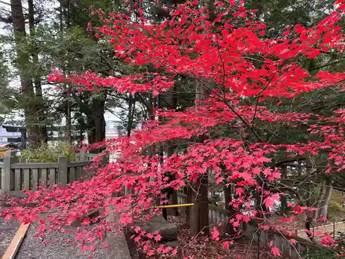 諏訪大社下社秋宮(長野県)