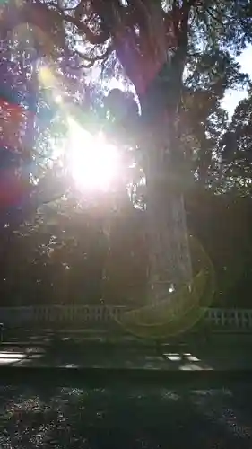 霧島神宮のその他建物