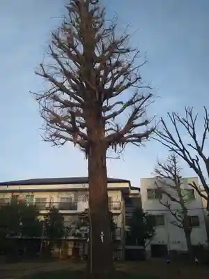 稲荷森稲荷神社(東京都)