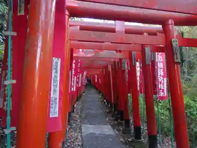 佐助稲荷神社の鳥居