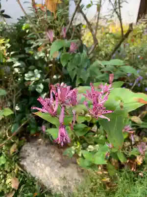正伝護国禅寺(正伝寺･正傳寺)(京都府)