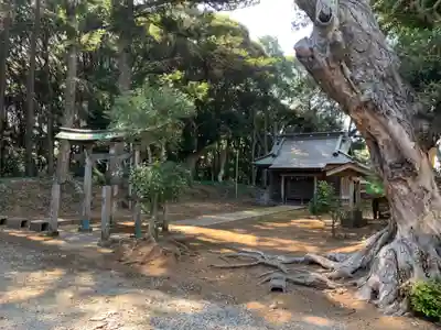 熊野大神(千葉県)