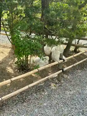 高屋敷稲荷神社(福島県)