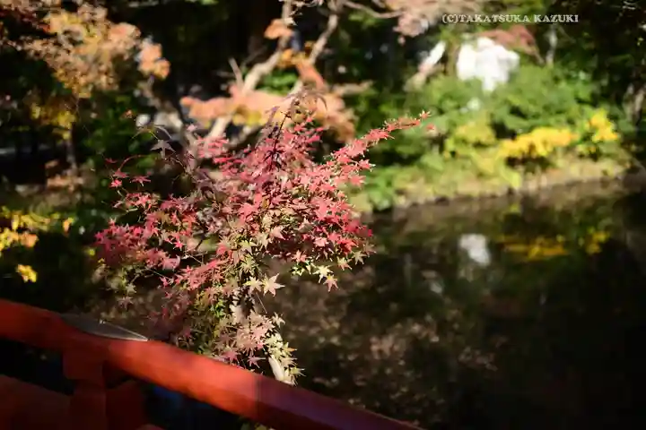 鶴岡八幡宮の自然