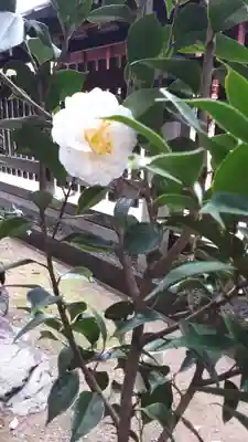 城南宮(京都府)