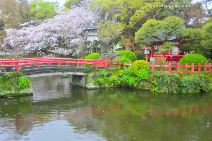 三嶋大社(静岡県)