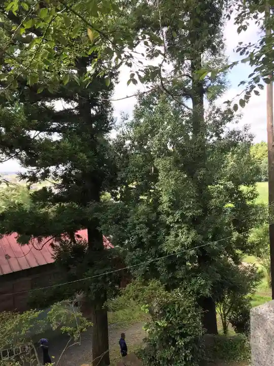 賀茂別雷神社のその他建物