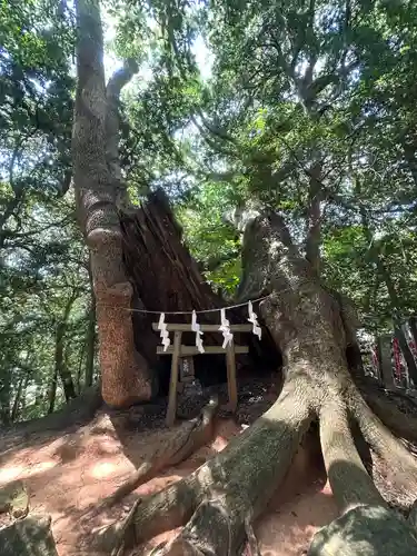住吉神社(山口県)