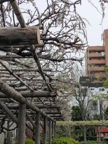 亀戸天神社(東京都)