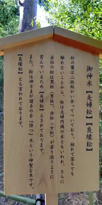 自由が丘熊野神社の歴史