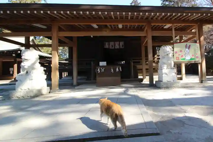 唐澤山神社(栃木県)