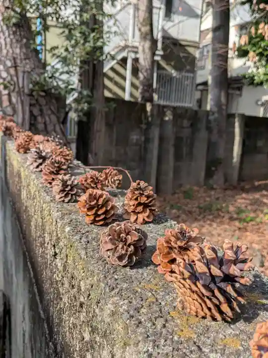 高円寺天祖神社(東京都)