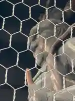 十輪寺の山門・神門