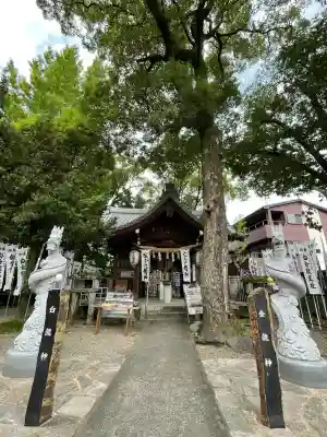 白金龍王社(愛知県)