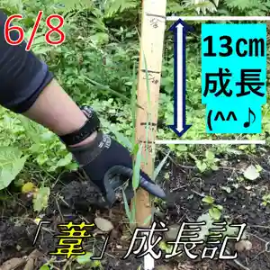 七重浜海津見神社(北海道)(2023年06月09日(金) 09時55分53秒投稿)