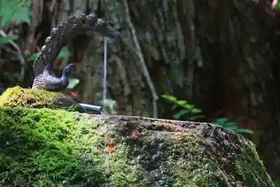 紀伊宮神社(福島県)