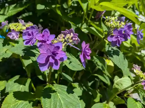 西野神社(北海道)