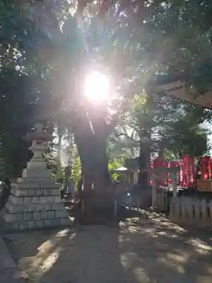 諏訪神社(東京都)